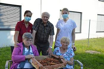 Gruppenbild mit geernteten Karotten