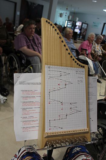 Der Entwickler dieses Instrumentes, Herr Hermann Veeh, konzipierte die Veeh-Harfe und eine entsprechende Notenschrift für seinen mit dem Down-Syndrom geborenen Sohn.